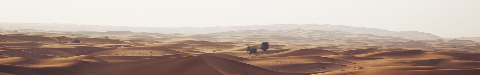 w|Ƽ--޹˾